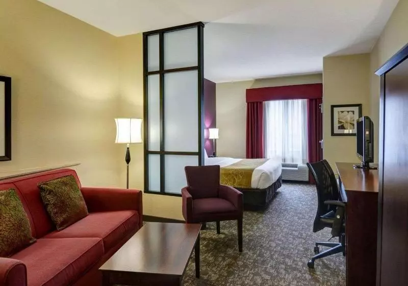 سوئیت با تخت بزرگ, Comfort Suites Little Rock West