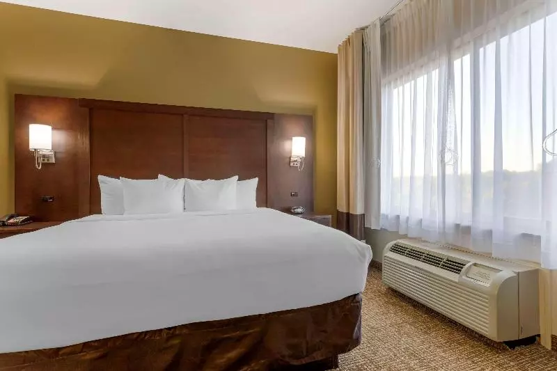 سوئیت با تخت بزرگ, Comfort Suites Little Rock West