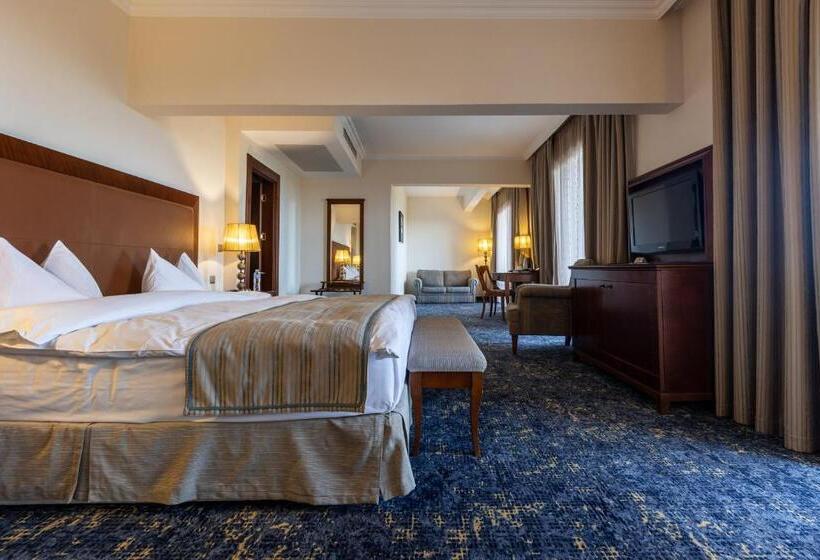 琮城市景观的豪华间, Primoretz Grand Hotel & Spa