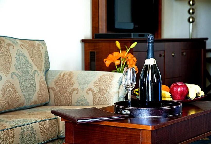 带城市景观的标准间, Primoretz Grand Hotel & Spa