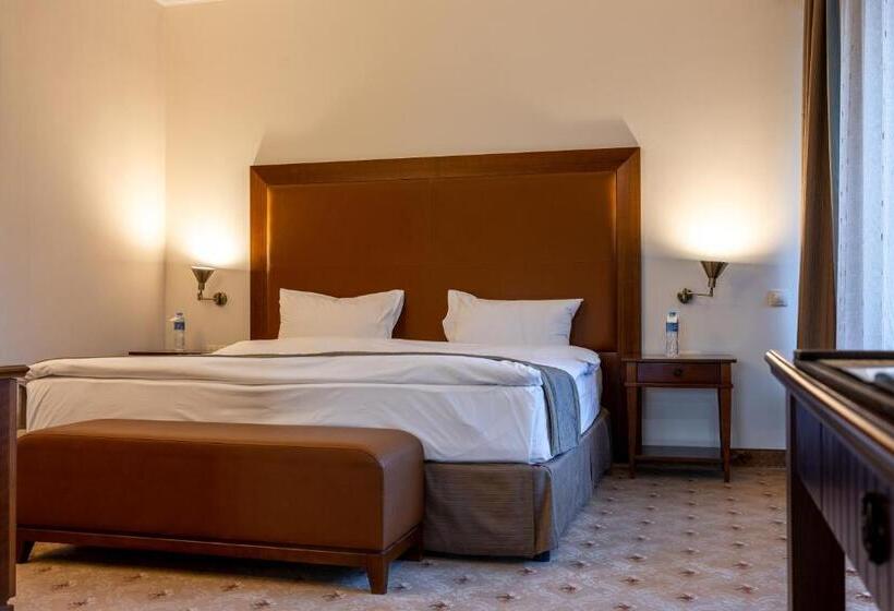 带城市景观的套间, Primoretz Grand Hotel & Spa