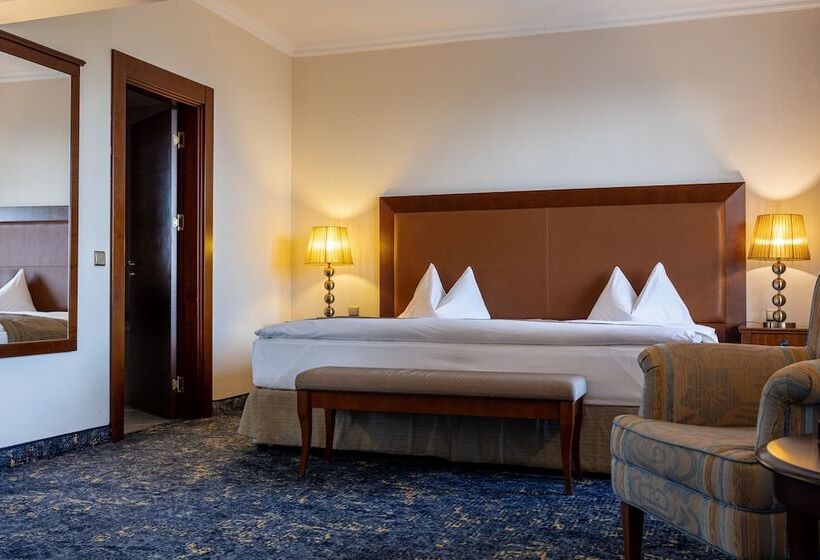 带城市景观的标准间, Primoretz Grand Hotel & Spa