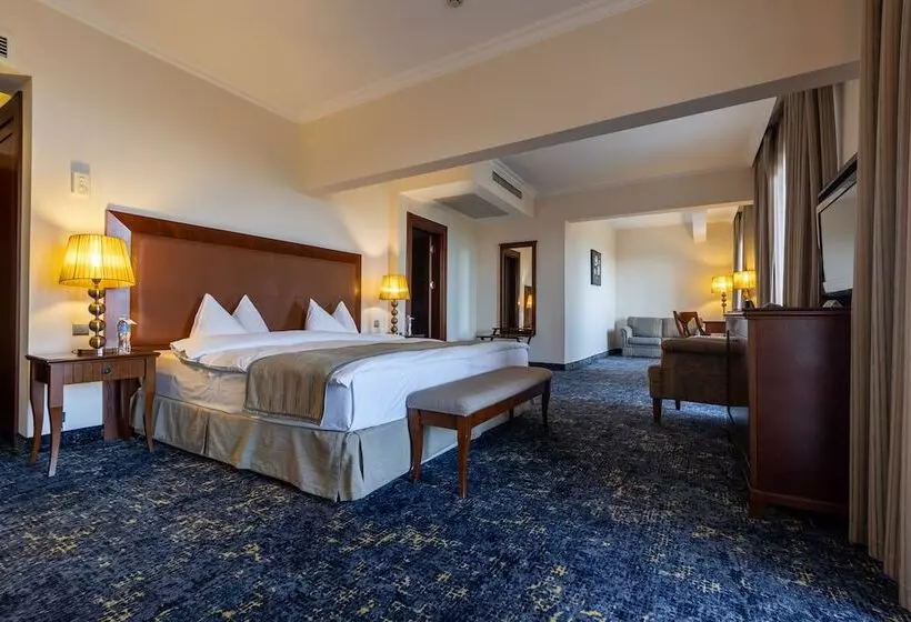 シティビューのデラックスルーム, Primoretz Grand Hotel & Spa