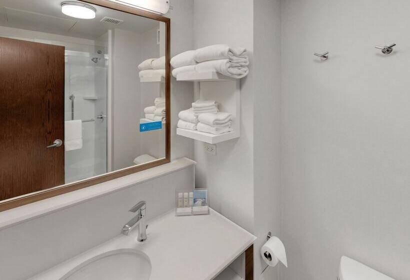 스탠다드 룸 킹사이즈 침대, Hampton Inn Majestic Chicago Theatre District