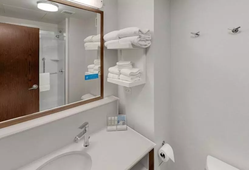 キングサイズベッドのスタンダードルーム, Hampton Inn Majestic Chicago Theatre District
