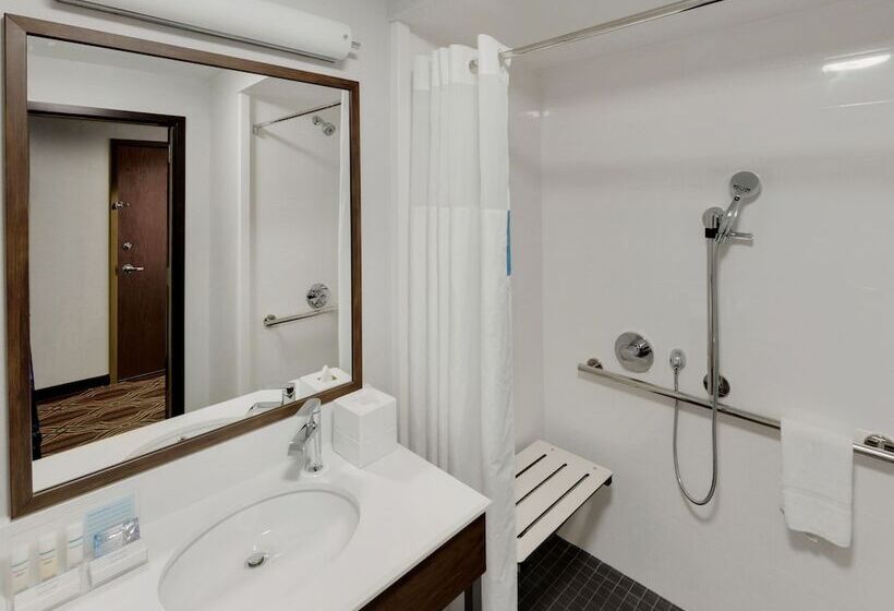장애인을 위한 스탠다드 룸, Hampton Inn Majestic Chicago Theatre District