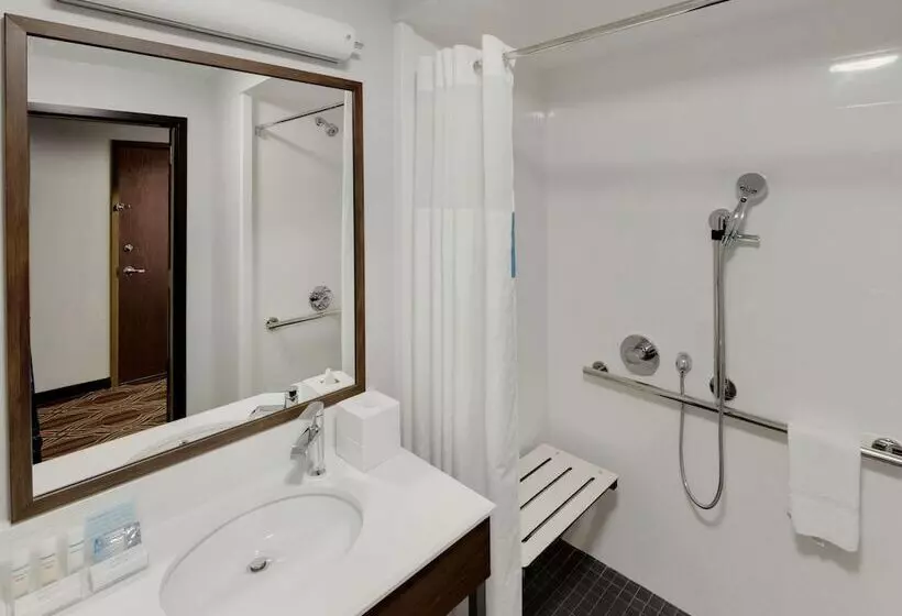 身障者適用スタンダードルーム, Hampton Inn Majestic Chicago Theatre District