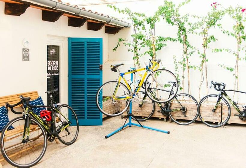 اتاق استاندارد, Honucai