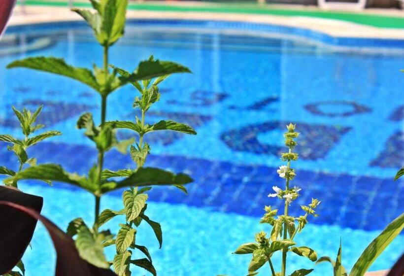 جناح مطلّ علي حمام السباحة, Idee Sui̇tes Fethiye