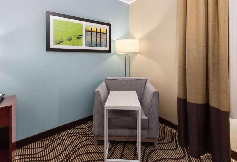 غرفة قياسية سرير كينج, La Quinta By Wyndham Houma