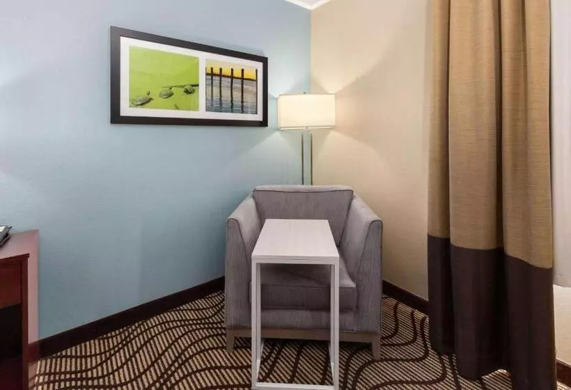 キングサイズベッドのスタンダードルーム, La Quinta By Wyndham Houma