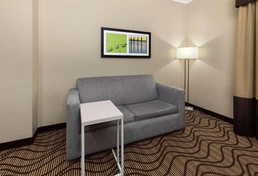 غرفة ديلوكس لذوى الاحتياجات الخاصة, La Quinta By Wyndham Houma