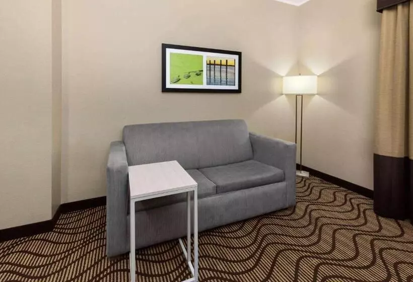 障害者適応デラックスルーム, La Quinta By Wyndham Houma