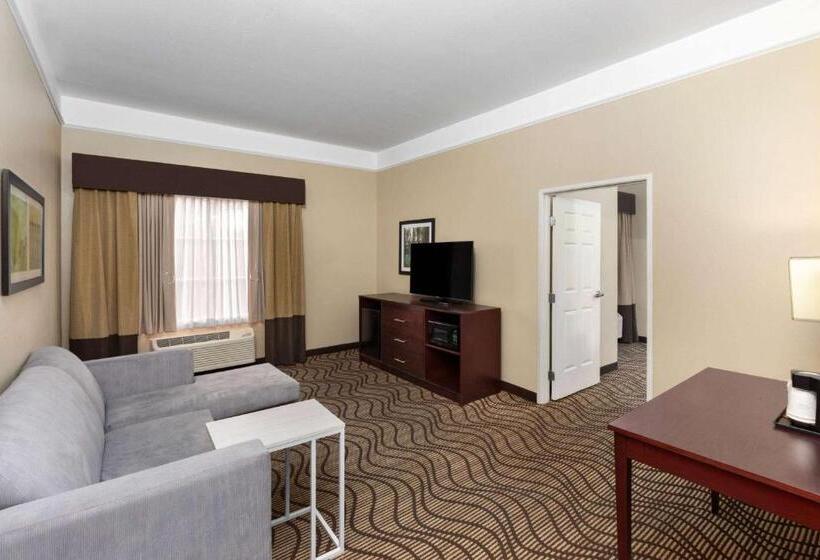 غرفة ديلوكس لذوى الاحتياجات الخاصة, La Quinta By Wyndham Houma