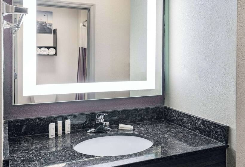 带2个双人床的标准工作室, La Quinta Inn & Suites By Wyndham Norfolk