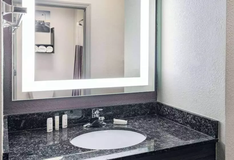 ２ダブルベッドのスタンダードルーム, La Quinta Inn & Suites By Wyndham Norfolk