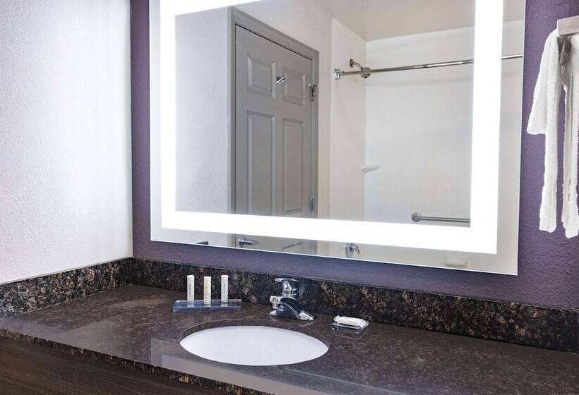 豪华套房, La Quinta Inn & Suites By Wyndham Norfolk