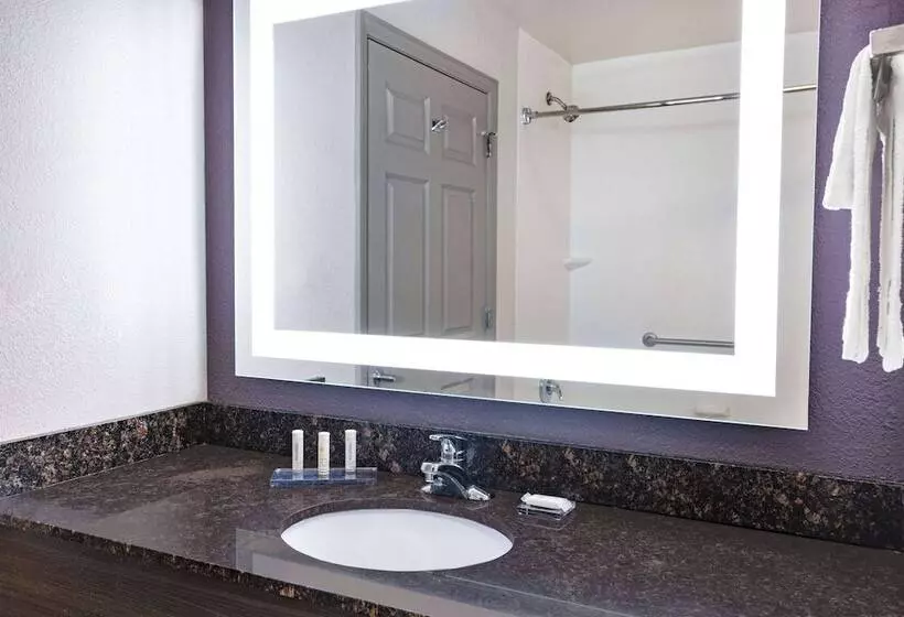 デラックススイート, La Quinta Inn & Suites By Wyndham Norfolk