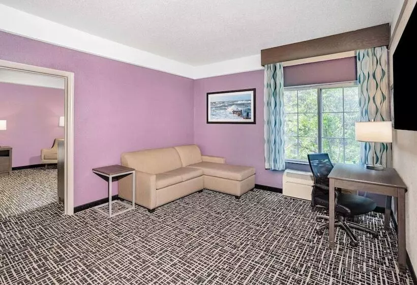 デラックススイート, La Quinta Inn & Suites By Wyndham Norfolk