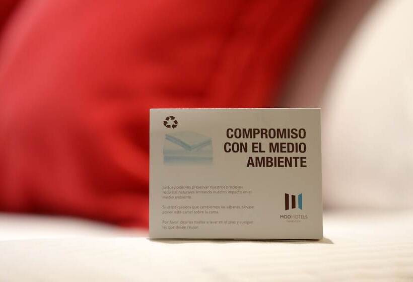 غرفة تنفيذية, Mod Hotels Mendoza