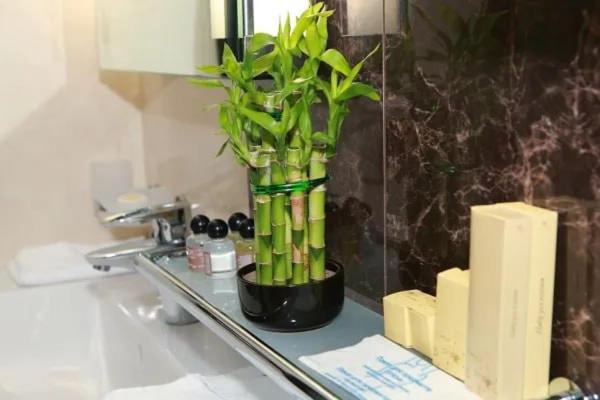 استودیوی استاندارد, Stella Residence Club