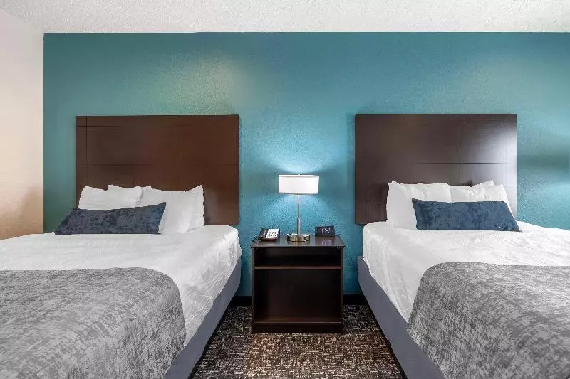 Standard Room King Size Bed