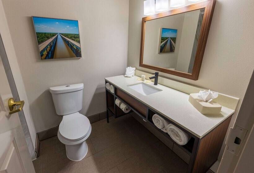 장애인을 위한 스탠다드 룸, Wingate By Wyndham Lafayette Airport