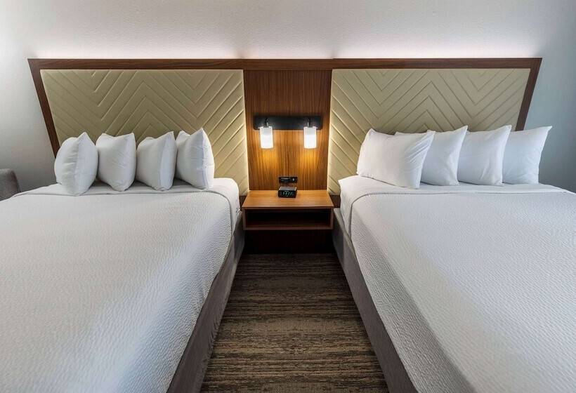 اتاق استاندارد برای معلولان, Wingate By Wyndham Lafayette Airport