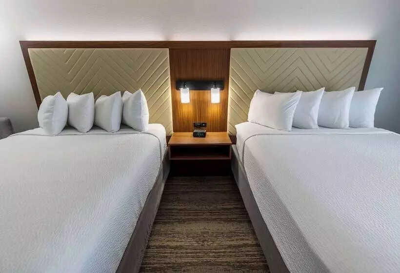 身障者適用スタンダードルーム, Wingate By Wyndham Lafayette Airport