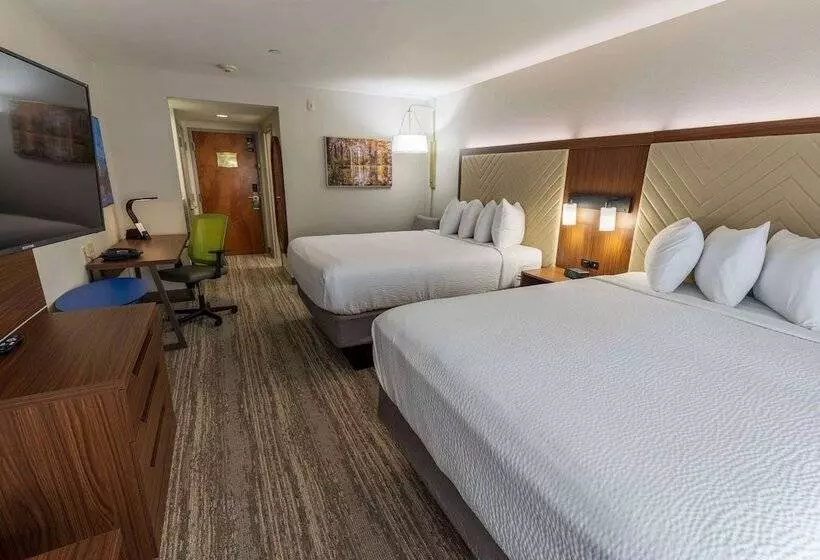 身障者適用スタンダードルーム, Wingate By Wyndham Lafayette Airport