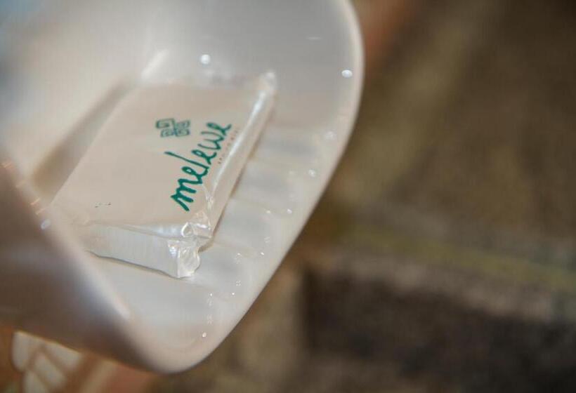 شقة سوبريور غرفة واحدة, Melewe