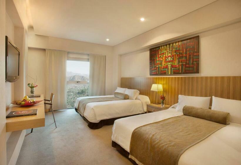 غرفة قياسية, Mod Hotels Mendoza