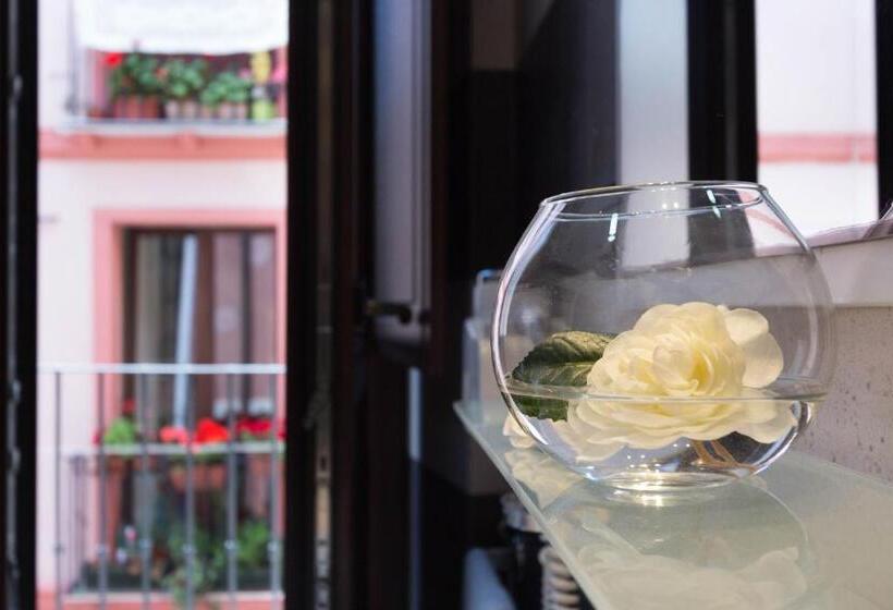 수피리어 룸, Arcobaleno Rooms