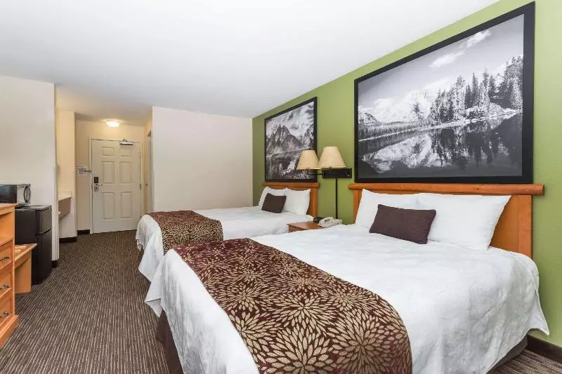 Standard-studio King-vuode, Holiday Inn Express Hotel & Suites Irving Dfw Airport North, An Ihg