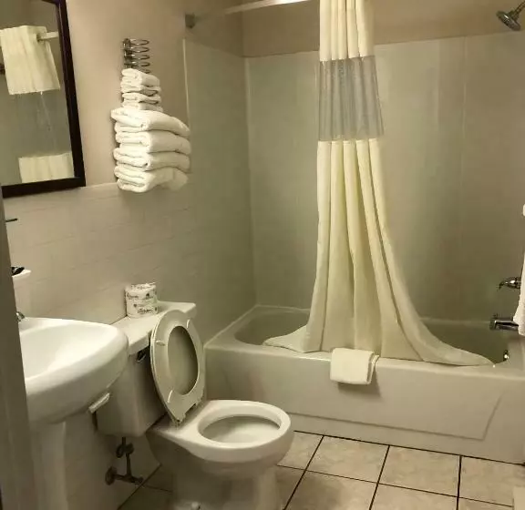 キングサイズベッドのスタンダードルーム, Americas Best Value Inn   Palmyra/hershey