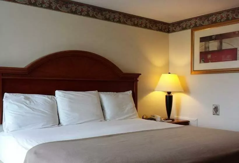 キングサイズベッドのスタンダードルーム, Americas Best Value Inn   Palmyra/hershey
