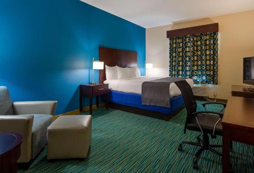 חדר סטנדרט עם מיטת קינג, Best Western Wesley Chapel