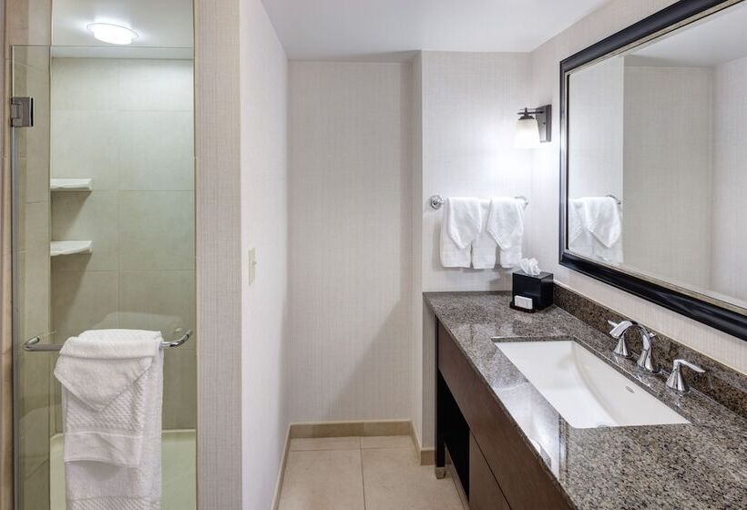 جناح بريميوم, Embassy Suites Anchorage