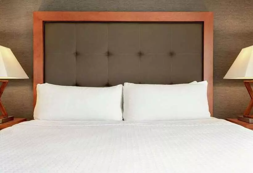اتاق استاندارد, Embassy Suites Anchorage