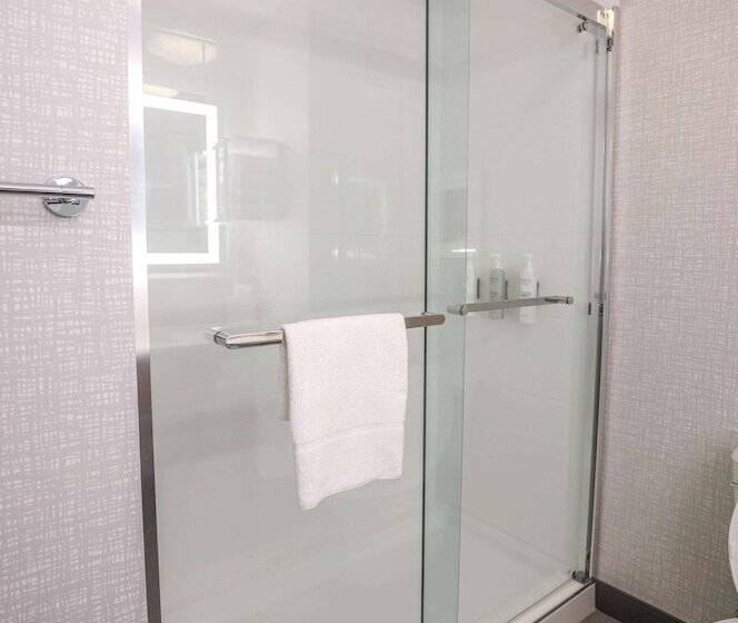 Habitació Estàndard, Hampton Inn & Suites Bay City, Tx