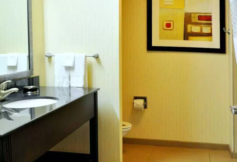 Standard-huone, Hampton Inn & Suites Bay City, Tx
