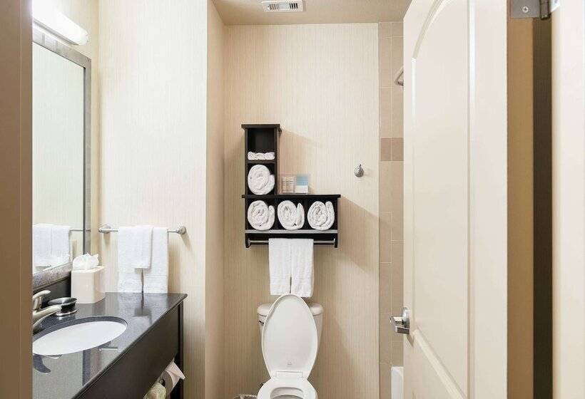 Habitació Estàndard, Hampton Inn & Suites Bay City, Tx