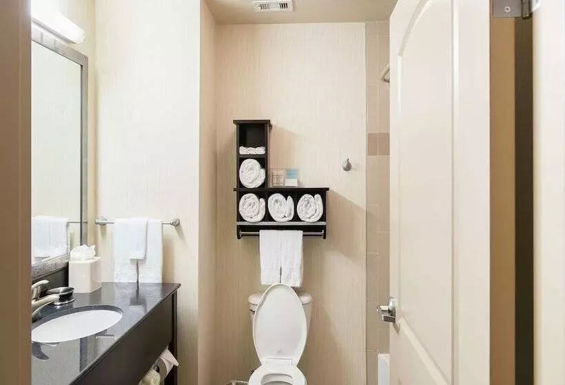 Standard-huone, Hampton Inn & Suites Bay City, Tx
