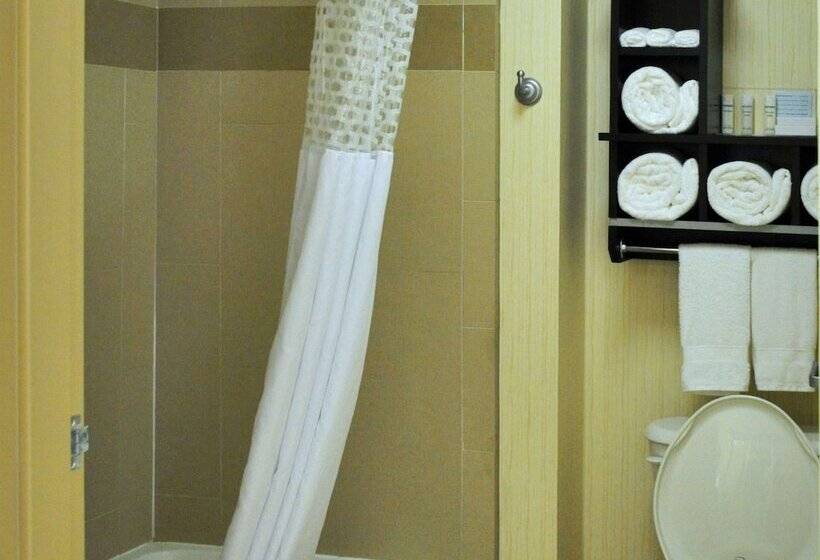 标准间, Hampton Inn & Suites Bay City, Tx