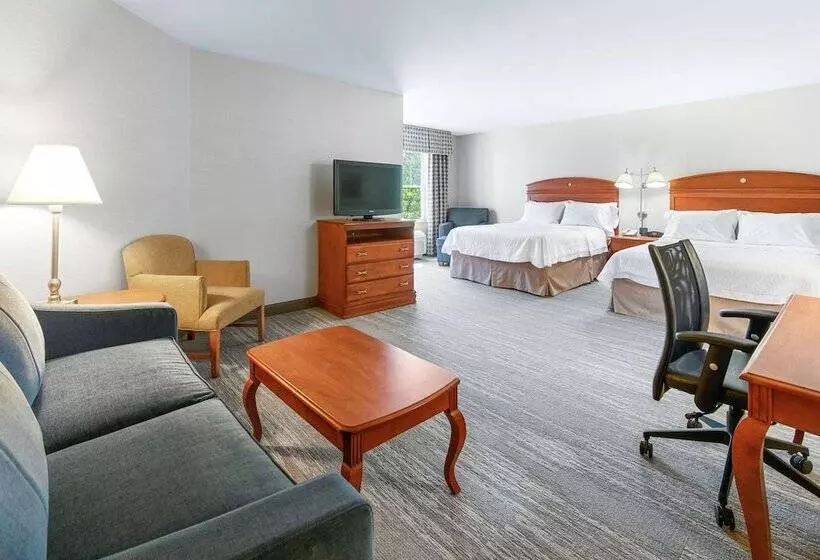 スタンダードスタジオ, Hampton Inn & Suites North Conway