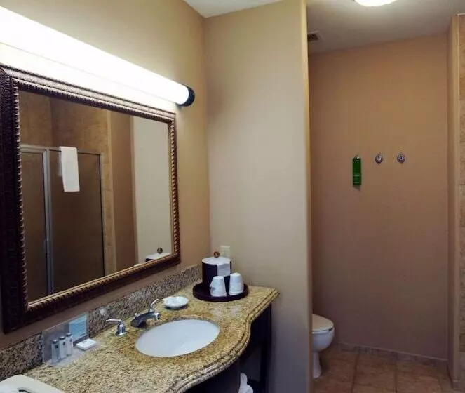 スタンダードルーム, Hampton Inn Seguin