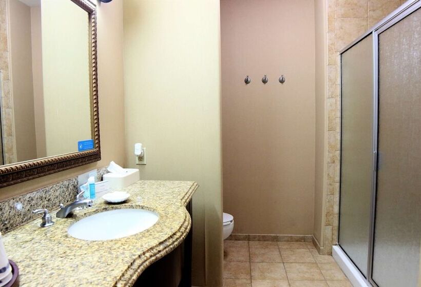 غرفة قياسية, Hampton Inn Seguin