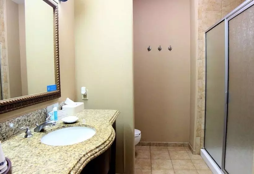 スタンダードルーム, Hampton Inn Seguin