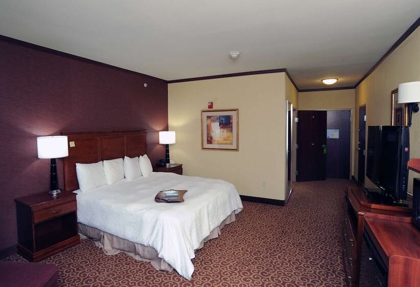 غرفة قياسية, Hampton Inn Seguin