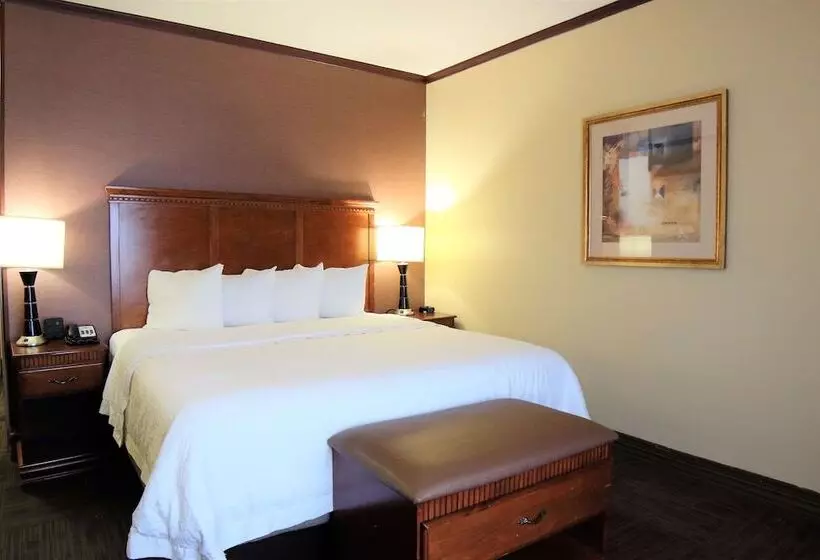 スタンダードルーム, Hampton Inn Seguin